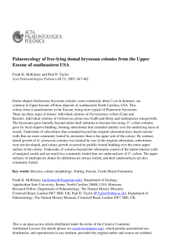 Palaeoecology of free-lying domal bryozoan colonies from the