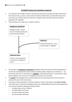 AS 91603 Timing and orientation responses