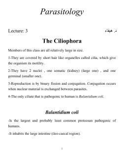 Parasitology