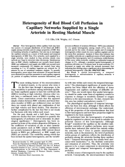 Heterogeneity of Red Blood Cell Perfusion in Capillary Networks