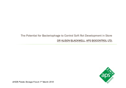 The Potential for Bacteriophage to Control Soft Rot Development in