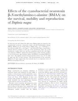 Effects of the cyanobacterial neurotoxin b-N-methylamino-L