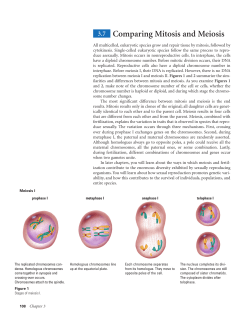 3.7 Comparing Mitosis and Meiosis