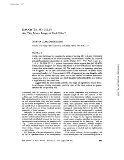 DAUGHTER 3T3 CELLS Are They Mirror Images of Each Other?