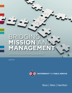Bridging Mission and Management: A Survey of Government Chief