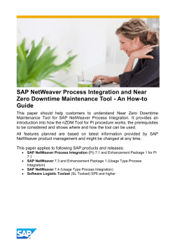 SAP NetWeaver Process Integration and Near Zero