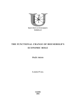 the functional change of household`s economic role