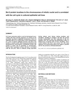 Bcl-2 protein localizes to the chromosomes of mitotic nuclei and is