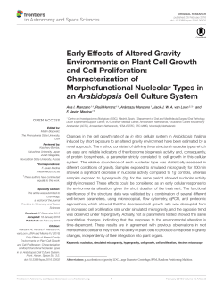Early Effects of Altered Gravity Environments on Plant Cell Growth