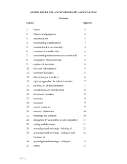 Association Constitution - Investment Promotion Authority