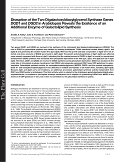 Disruption of the Two Digalactosyldiacylglycerol Synthase Genes