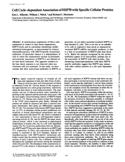 Cell Cycle-dependent Association of HSP70 with Specific Cellular