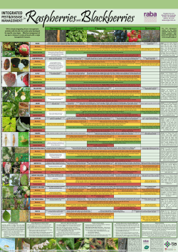 Raspberry and Blackberry integrated pest