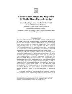 Chromosomal Changes and Adaptation Of Cichlid Fishes During