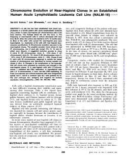 Chromosome Evolution of Near-Haploid Clones in an Established