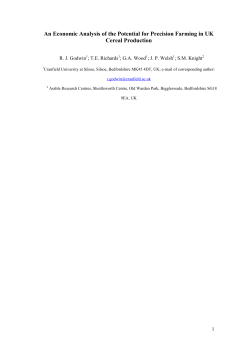 as a PDF