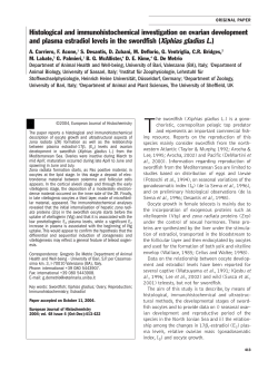 Histological and immunohistochemical investigation on ovarian