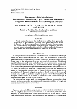 Comparison of the Morphology, Fermentation, Assimilation, Lipid