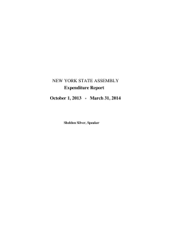 NEW YORK STATE ASSEMBLY Expenditure