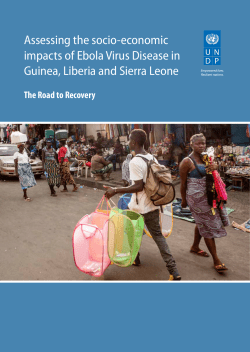 Assessing the socio-economic impacts of Ebola
