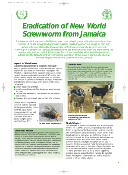 Eradication of New World Screwworm from Jamaica