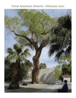 Great American Deserts&mdash;February 2011