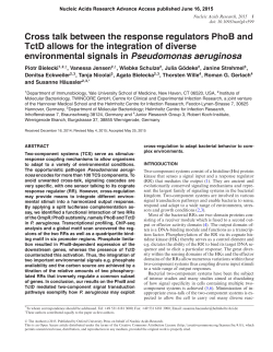 Cross talk between the response regulators PhoB and TctD allows