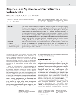 Biogenesis and Significance of Central Nervous System Myelin