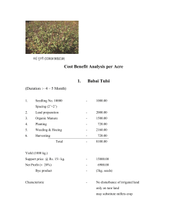 Cost Benefit Analysis per Acre 1. Babai Tulsi