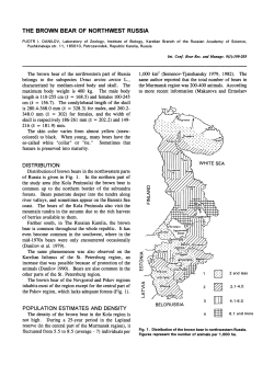 THE BROWN BEAR OF NORTHWEST RUSSIA