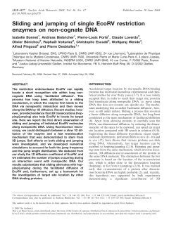 Sliding and jumping of single EcoRV restriction enzymes on non