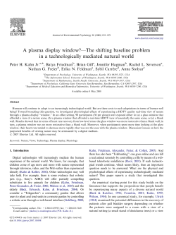 A plasma display window?