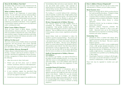 How do the Kidneys Function? What is Kidney Disease? What