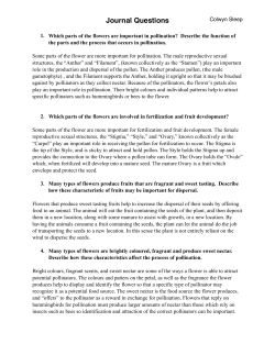 Parts of a Plant Lab