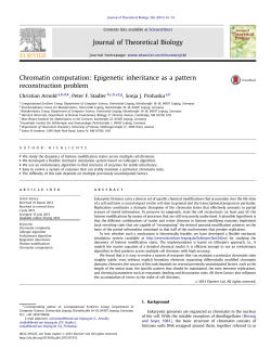 Chromatin computation_ Epigenetic inheritance as a pattern