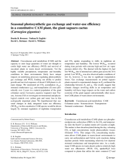 Seasonal photosynthetic gas exchange and water