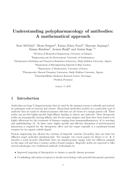 Understanding polypharmacology of antibodies: A mathematical