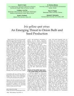 Iris yellow spot virus: An Emerging Threat to Onion Bulb and Seed