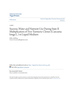 Sucrose, Water and Nutrient Use During State II