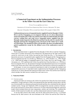 A Numerical Experiment on the Sedimentation Processes