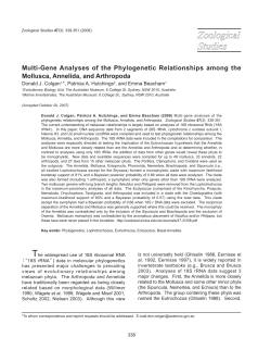 Multi-Gene Analyses of the Phylogenetic Relationships among the