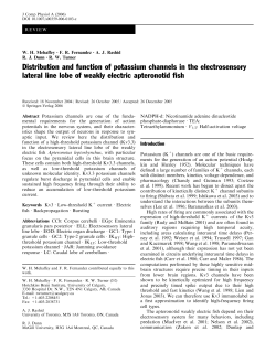 Distribution and function of potassium channels in the