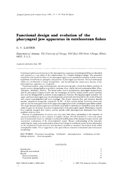 Functional design and evolution of the pharyngeal jaw apparatus in