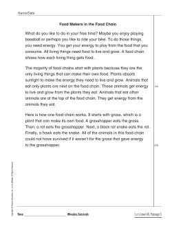 Level 40 Student Passage 5