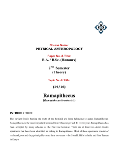 Ramapithecus