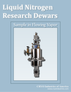 Liquid Nitrogen Research Dewars