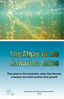 The Algae of the Kawartha Lakes