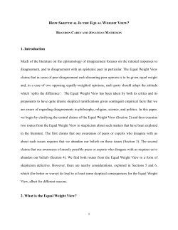 How Skeptical is the Equal Weight View