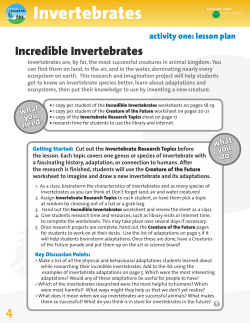 Incredible Invertebrates - Stanley Park Ecology Society