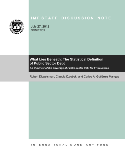 The Statistical Definition of Public Sector Debt